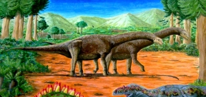 Camarasaurus 4