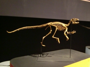 heterodontsaurus