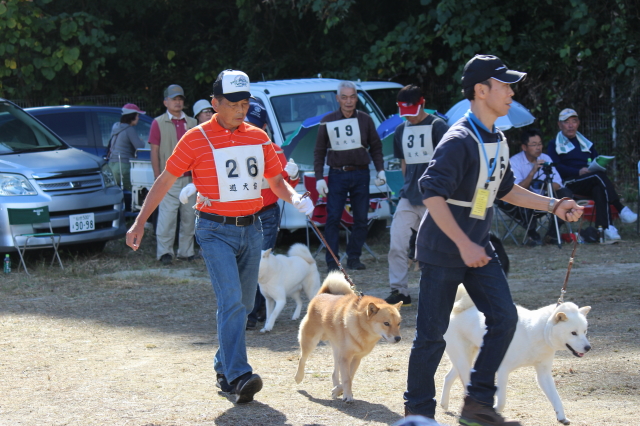 北海道犬協会 第100回 本部展覧会・・・5 | 風と牙