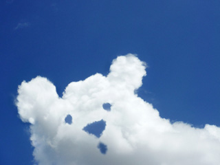 クマ雲