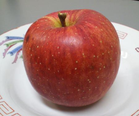 ダメリンゴ（２７．１０．３１）