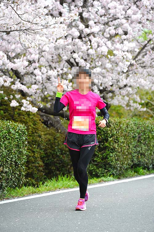 さが桜マラソン