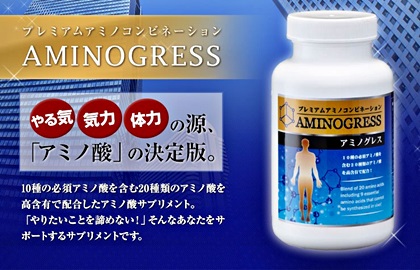 20151115-01　aminogress