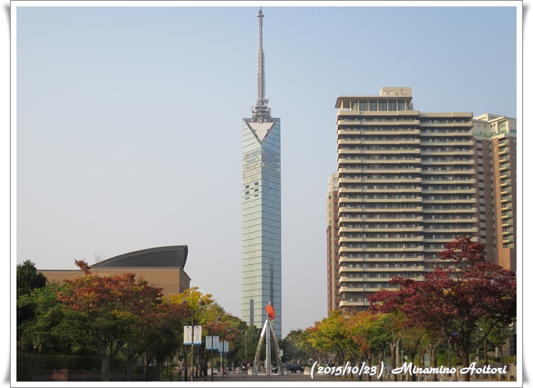 福岡タワーと紅葉2015-10-23ももち浜 (107)