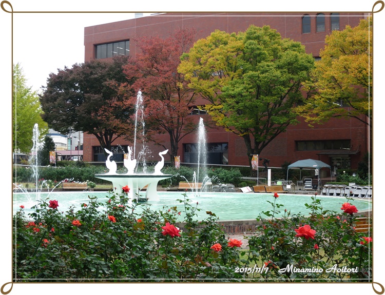オレンジバラと噴水2015-11-07石橋文化センター・中央公園 (74)