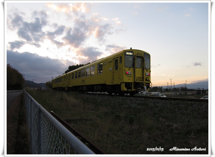 電車2015-11-15久留米・ハゼ並木 (301)