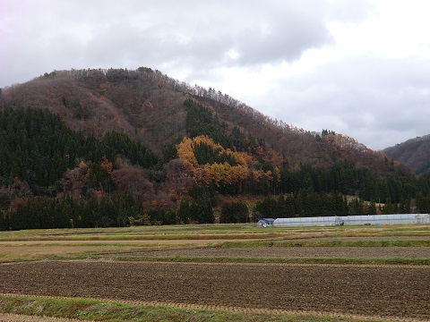 2015-11 ｼﾞｭﾈｽ栗駒05