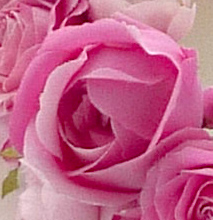 手作りの造花の画像.布花.染め花.ピンク.花冠..ウェディング