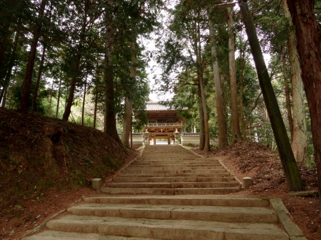 赤淵神社　石段から楼門を見上げる