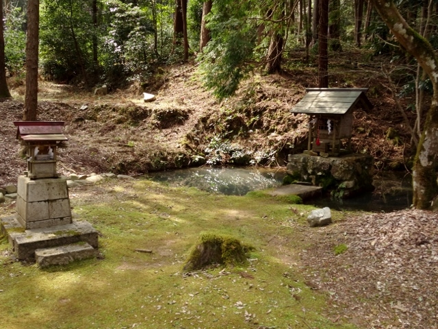 赤渕神社　池の中の境内社