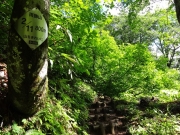 標識が整備された登山道