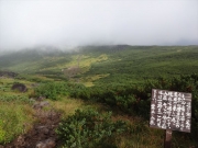 祖父岳登山道から雲ノ平キャンプ場を見下ろす