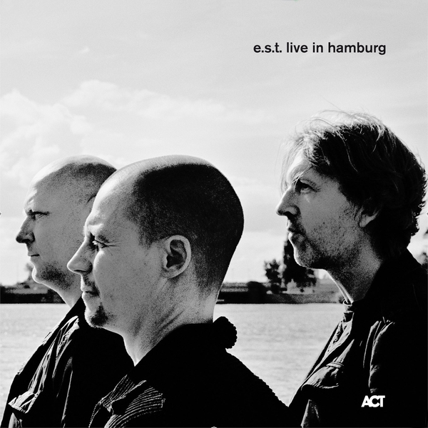 Esbjorn Svensson Trio／800 Streets By Feet