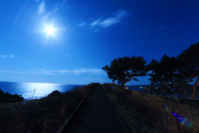 月夜の葦毛崎展望台５