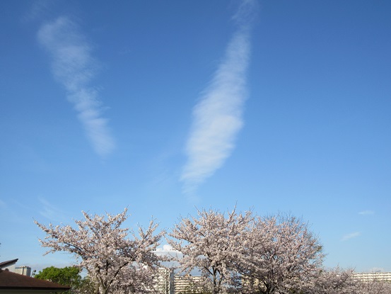 1Ｇ02　桜と雲　0408