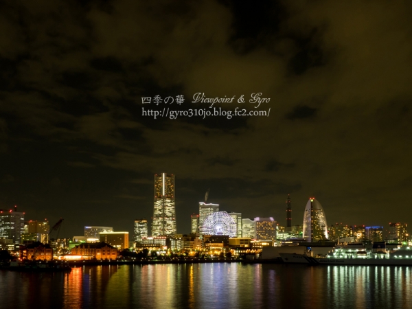 横浜港大桟橋からの夜景　N