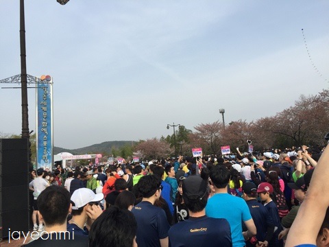 慶州_さくらマラソン_2016年 (3)