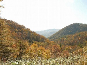 秋の藻岩山