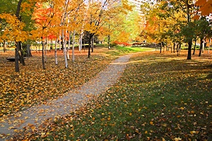 秋の中島公園