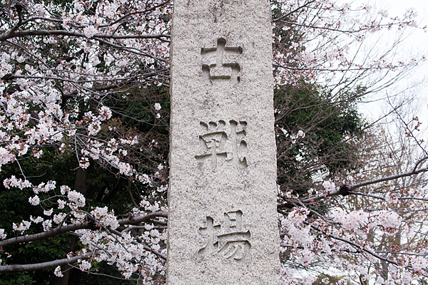 長久手古戦場跡の桜
